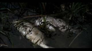 Human Water Pollution | Biology | Ecology