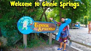 GINNIE SPRINGS, FLORIDA  The Best place for camping, tubing, snorkelling and having a lot of fun! 