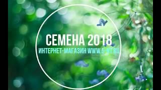 Семена 2018!