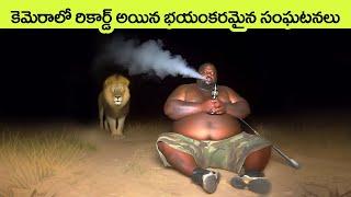 Rare & Scary Animal Encounters | wild animal encounters | facts in telugu | virinchi facts