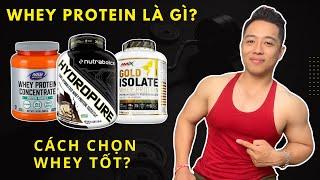 Whey Protein Là Gì? 4 Cách Chọn và Sử Dụng Whey Protein hiệu quả.