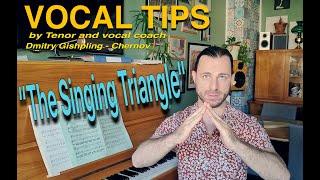 VOCAL TIPS:  "The Singing Triangle" - A basic tool to sing everything.