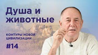 Развитие души в животном мире. Контуры новой цивилизации #14