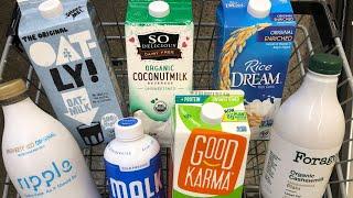 How to Make Out-of-This-World Plant-Based Milk Alternatives?