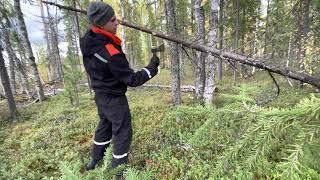 Расчёт и изготовление антенны Уда-Яги на УКВ вещательный диапазон.