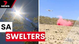 South Australia on high heat alert: 43C forecast for Adelaide | 7NEWS