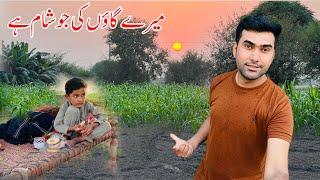 Mary Gaon Ki Jo Sham Hy | Evening Routine in Village Punjab | Shoaib Maharzada