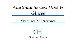Anatomy Series Part 3:  Hips Glutes