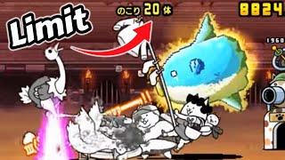 Impossible Colosseum!? (The Battle Cats 14.0)