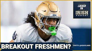 Notre Dame freshmen who could make a HUGE IMPACT in 2024