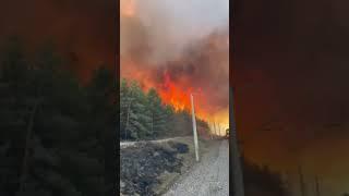 На Полтавщині продовжується масштабна пожежа