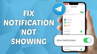 How to Fix Notifications Not Showing on Telegram