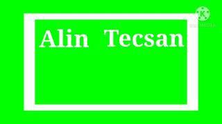 Alin Tecsan Logo (2021)