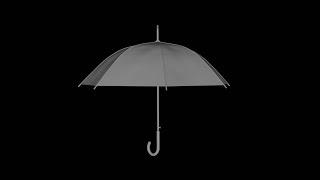 Blender 2.81 for Beginners How to model an Umbrella