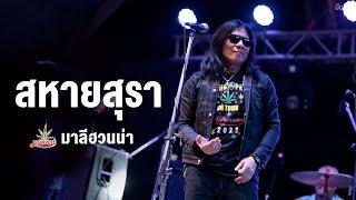 สหายสุรา I กลับกลาย I สำนึก I พี่ชายที่แสนดี - มาลีฮวนน่า「 Live at บ้านสวนศรีเมือง」