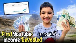 My First Youtube Earning Revealed !!