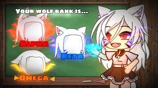  Alpha wolf  || meme || gacha life || 가챠라이프 {Original concept?}