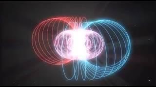 Torus - Magnetic Fields - Embedded Vortex Visualisation