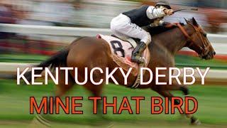 KENTUCKY DERBY 2009 - MINE THAT BIRD