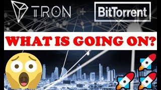 TRON BITTORRENT: WHAT IS GOING ON?