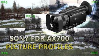 Sony FDR-AX700 picture profiles comparison