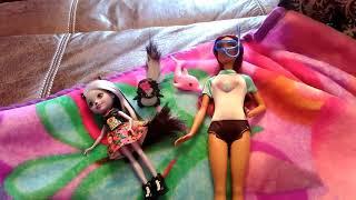 New Doll Stuff! Enchantimals Sage Skunk & Barbie Dolphin Magic Fashion Pack