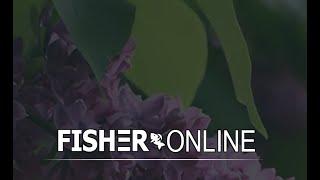 Fisher Online. Закрываю картинки на оз. Вассердам, Германия.