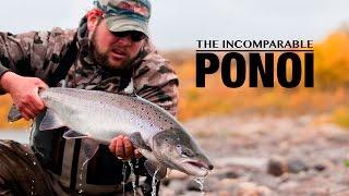 The Incomparable Ponoi - Atlantic Salmon - Fly Fishing by Gin-Clear Media