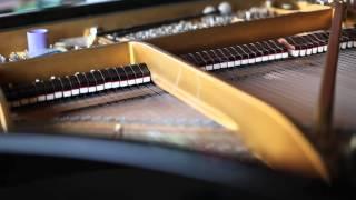 JOHN WOLF BRENNAN − All the Strings you are