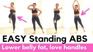 Lose lower belly fat standing workout, easy indoor steps to burn fat, beginner weight loss