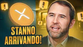  XRP: Inizia l'invasione degli istituti finanziari!