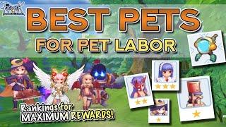 RANKING THE BEST PETS FOR PET LABOR (MAX REWARDS) | Ragnarok M Eternal Love