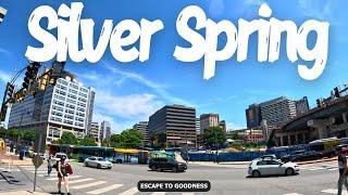 Living in Silver Spring - Maryland - 4K Drive - City View