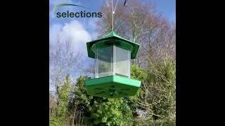 Durlston Green Chalet Bird Seed & Nut Feeder #birdfeeder