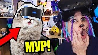 МОЙ КОТИК ГЕННАДИЙ ПЕРВЫЙ РАЗ ИГРАЕТ В ВИРТУАЛЬНУЮ РЕАЛЬНОСТЬ!!! (CATIFY VR)