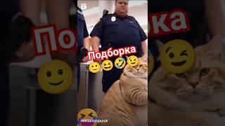 Подборка  #подборка #подборка