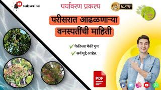  परीसरात आढळणाऱ्या वनस्पतींची माहिती प्रकल्प | पर्यावरण प्रकल्प  | 11 to 12 standard project ️