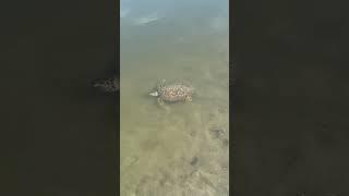 I had a friend show up while I was fishing ￼