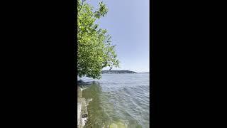 Seward Park, Seattle, WA