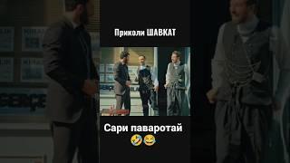 камол Шавкат