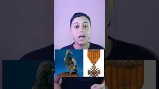 حمامه أنقذت 190 عسكري الجزء الثاني!!