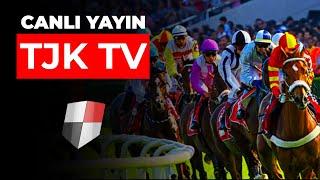 TJK TV Canlı Yayın