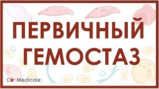 Первичный гемостаз или формирование тромбоцитарной пробки - свертывание крови, физиология