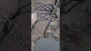 SADDLE OR TREESTAND? which do you prefer?! #outdoors #bowhunting #bowhunter #saddlehunting #tethrd