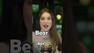 PRONÚNCIA DE BEAR #shorts #shortsyoutube #feelen #inglesfacil #auladeingles