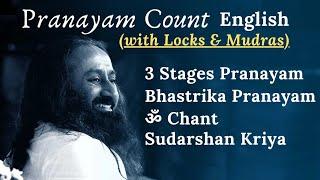 Pranayam Count with Locks (Bandha) and Mudras | Sudarshan Kriya Pranayam Count English Art of Living