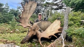 Hunting GIANT Moose in Western Newfoundland | Canada in the Rough