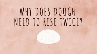 Why Does Bread Dough Need To Rise Twice?