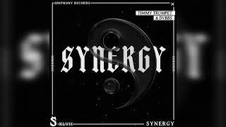 Timmy Trumpet & DVBBS - Synergy (Extended Mix)