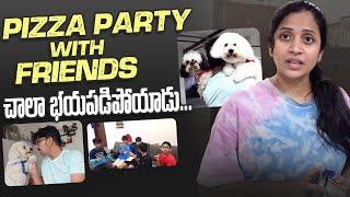 Pizza Party ki Friends | Booster was Scared at Home | Pet Care | DIML | Sushma Kiron